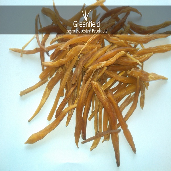 Yellow Shatavari Roots ( Asparagus Racemosus )