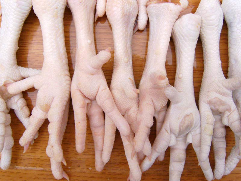 Frozen Chicken Feet Grade A