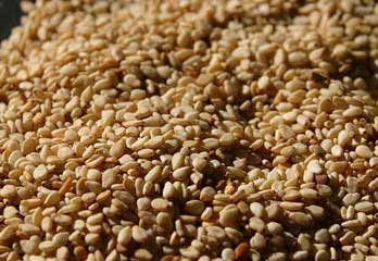 sesame seeds
