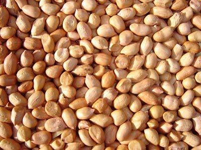 Peanut Kernels