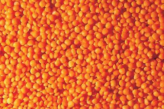 Red Football Lentils