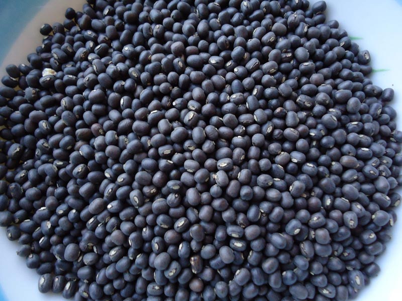 black urad dal