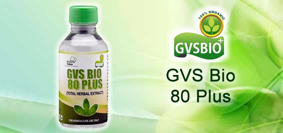 GVSBIO 80 Plus