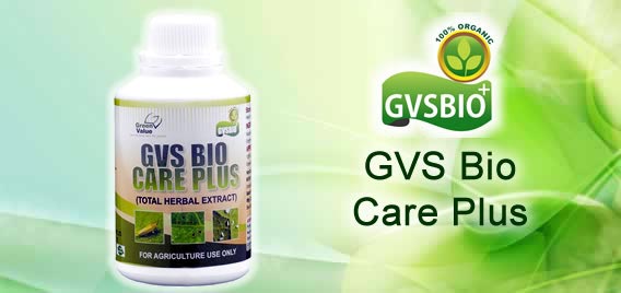 GVSBIO Care Plus