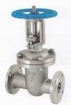Cast Steel Gate Valves