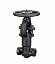 Forged Steel Cryogenic Globe Valve