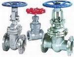 Stainless Steel Gate Valves