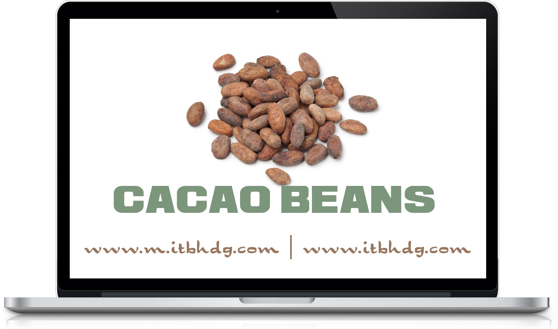 Organic Cocoa Beans Buy organic cocoa beans in Orlando FL United States