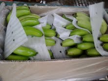 Banana Packaging
