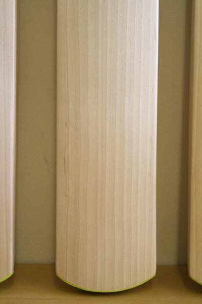 Rps English Willow Cricket Bat