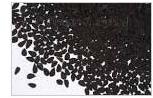 Black Onion Seeds