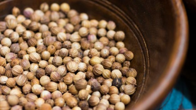 Organic coriander seeds, for Agriculture, Cooking