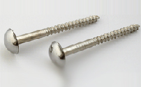 Mirror Shaped Screws