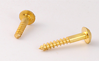 Round Shaped Screws