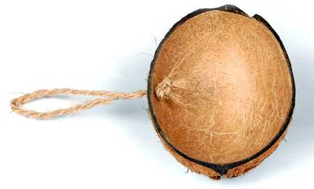 Coconut Shell at best price in Thrissur by Continental Enterprises