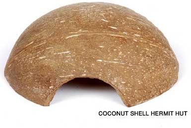 Coconut Shell Hermit Huts1