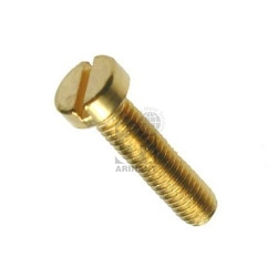 Brass Cheese head Screw