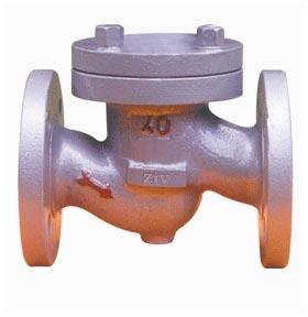 Non Return Valves