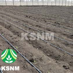 Agriculture Irrigation System