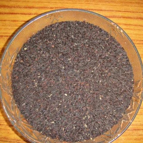 Tukmalanga Seeds, Packaging Type : Bulk