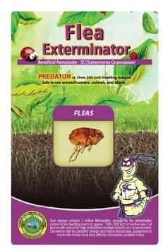 Flea Exterminator