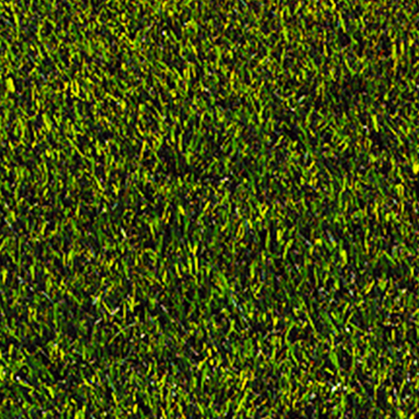 tifgreen grass
