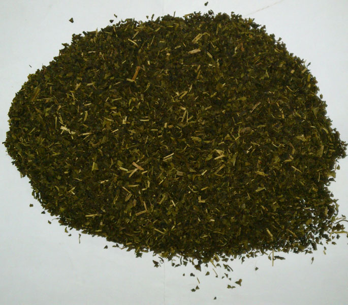 Green Tea Leaves