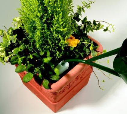 Square Self Watering Planter