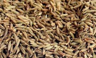 Cumin seeds, for Cooking, Feature : Improves Acidity Problem, Improves Digestion