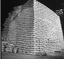 Refined Cane Sugar ICUMSA