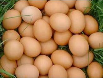 Pure Indian Country Chickens Hatching Eggs(Al-Noor 100)