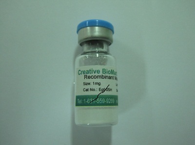 Recombinant Mouse Acetylcholinesterase