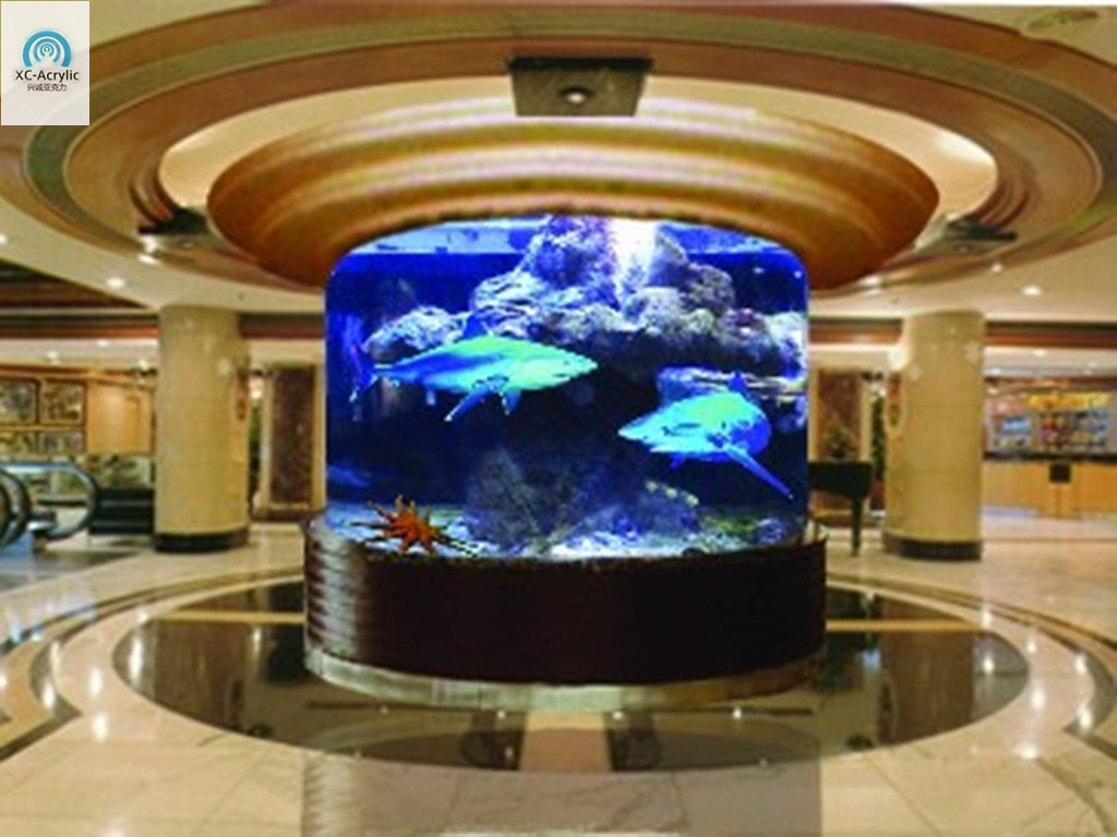Cylinder Acrylic Fish Tank Buy Cylinder Acrylic Fish Tank