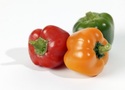 Capsicum Color