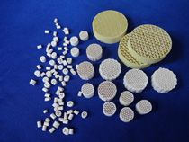 Network Support Protective Agent