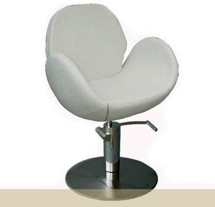 Beauty Salon Styling Chair