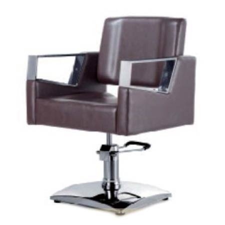 Stylish Universal Salon Chair
