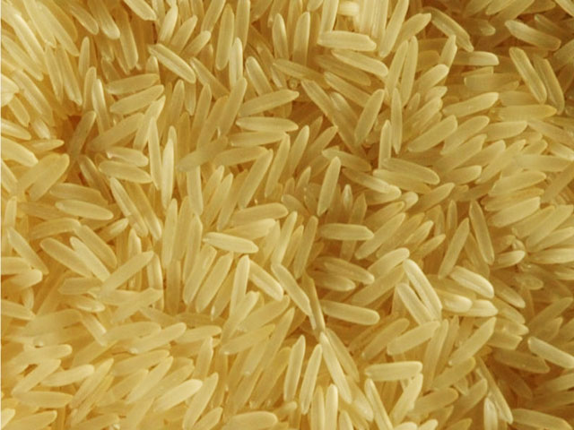 Indian Long Grain 1121 Super Kernal Golden Basmati Rice