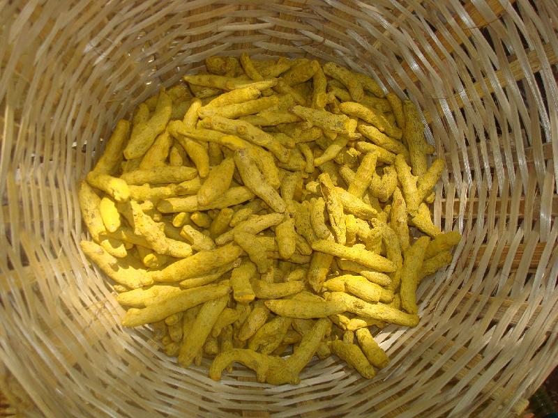 turmeric finger