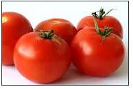 Tomatto Tomato