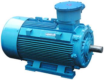 Low Voltage Motor