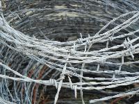 Barbed Razor Wire