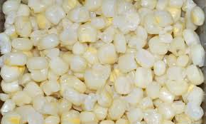 Shubham Seeds white maize