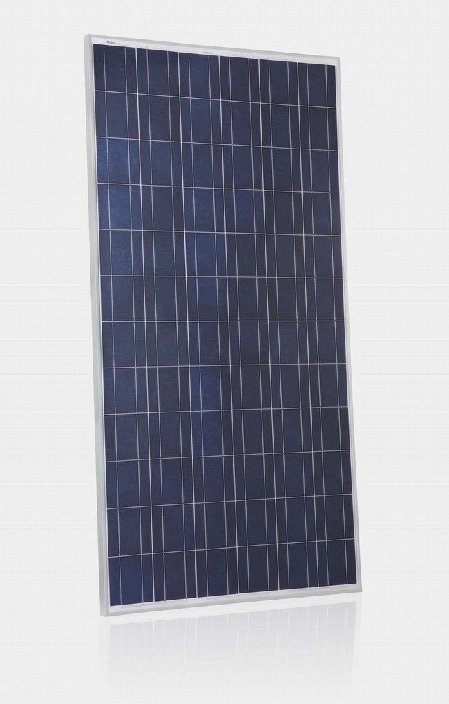 Poly Solar Panel 250w