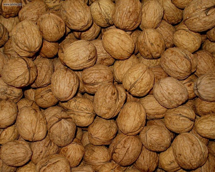 Shelled Walnuts