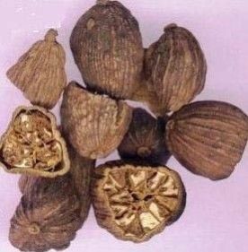 Fructus Amomi