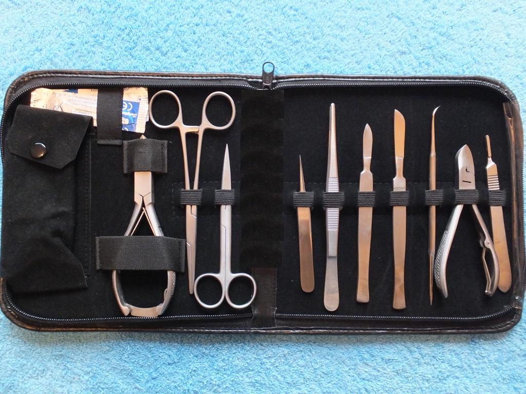 Diessectinbg Set Larg