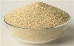 Phytase Enzyme Powder, for Industrial, Packaging Type : HDPE Drum, Plastic Bag