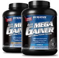 Mega Mass 6000 Weight Gainer