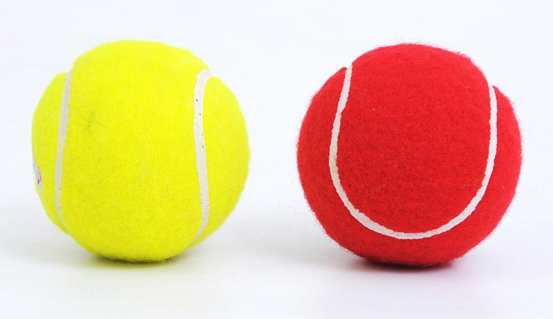 Synthetic Cricket Balls